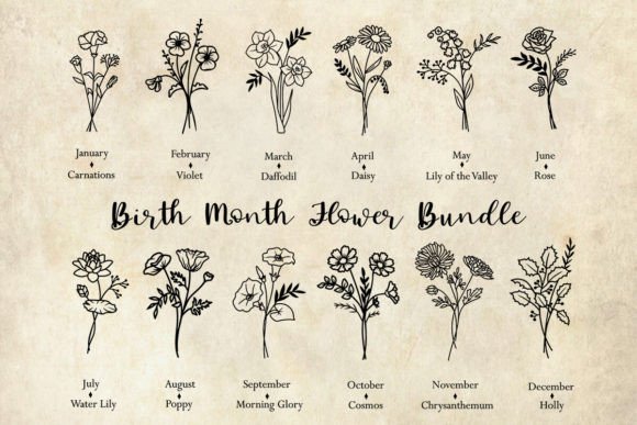 Birth Flower Bundle: Premium Digital Assets for Designers